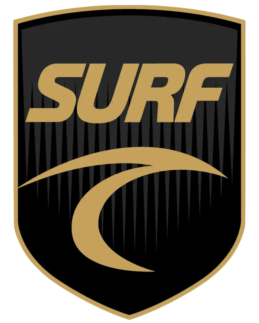 Western Washington Surf